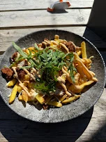 Loaded Fries